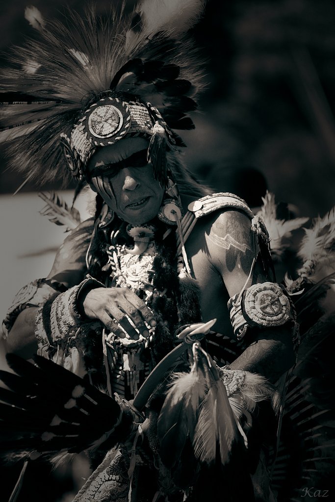 Indian Warrior