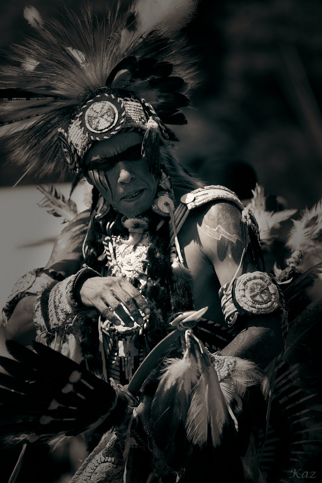 Indian Warrior