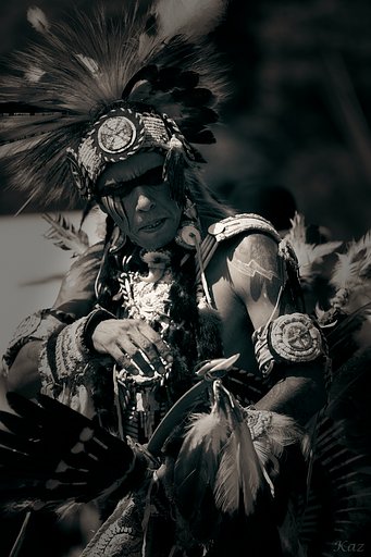 Indian Warrior