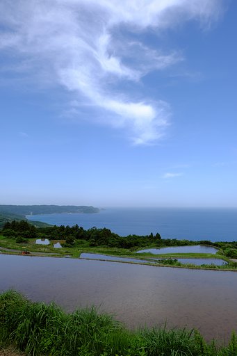 東後畑