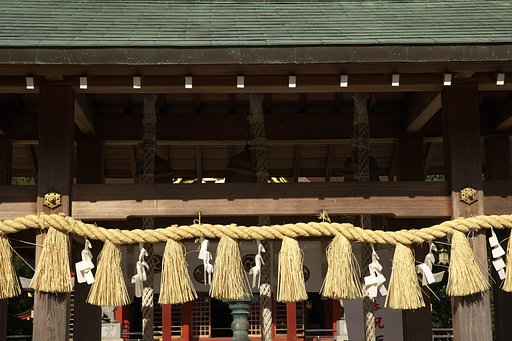 12月17日の写真