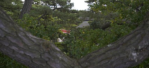 フジフィルムのカメラ