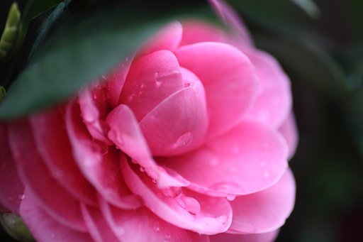 12月12日の写真