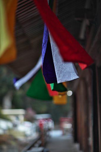 EF85mm F1.2LⅡ