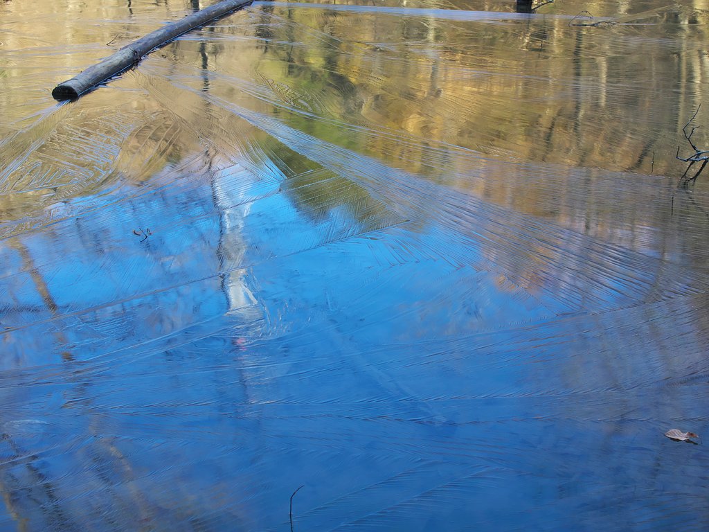 氷紋