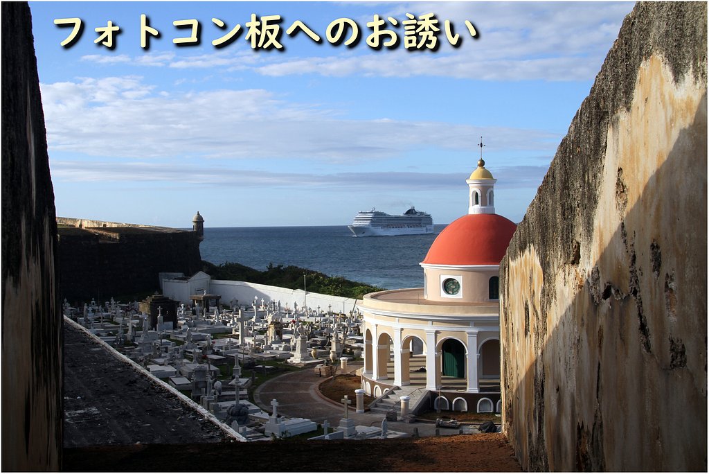 今月のフォトコンへのお誘い