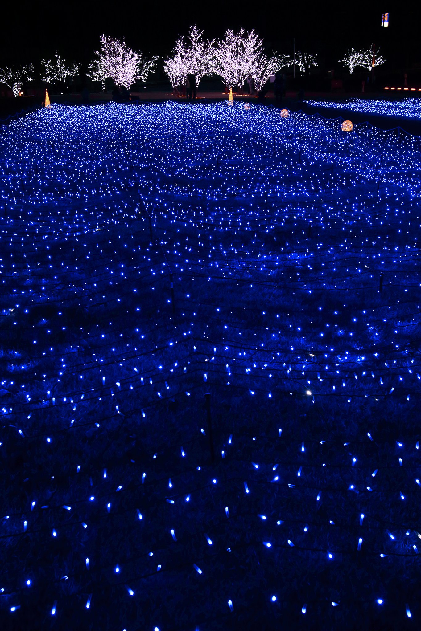 三原市文化芸術センター「ポポロ」冬季イルミネーション