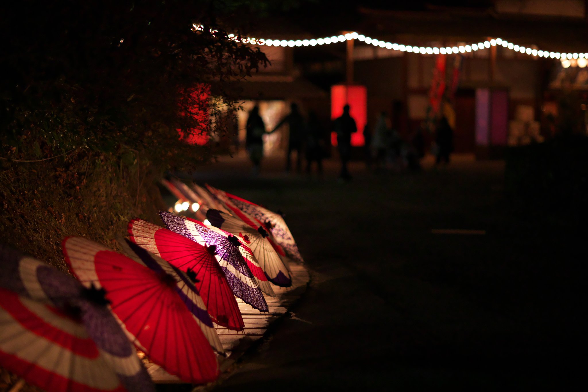 EF85mm F1.2LⅡ