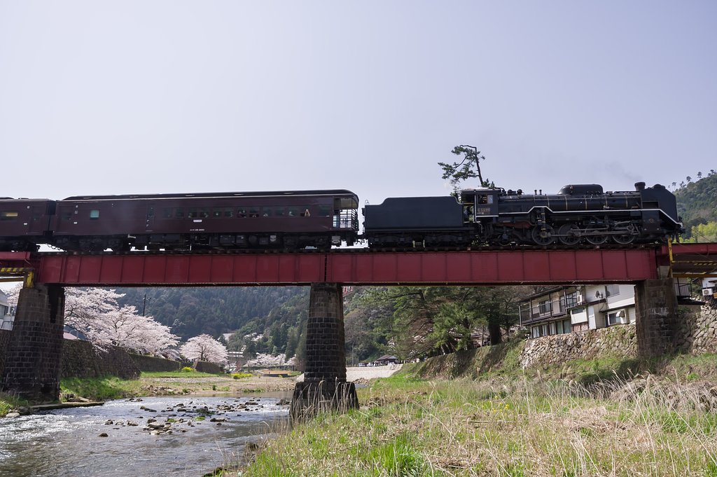 【桜花】鉄橋