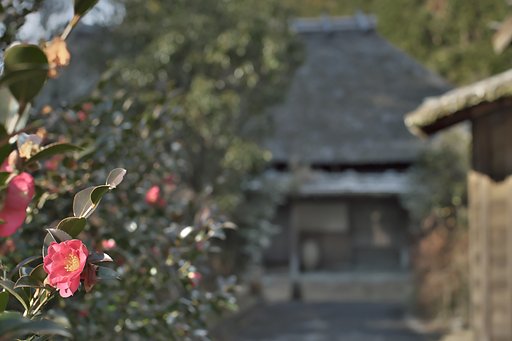 EF50mm F1.2 L