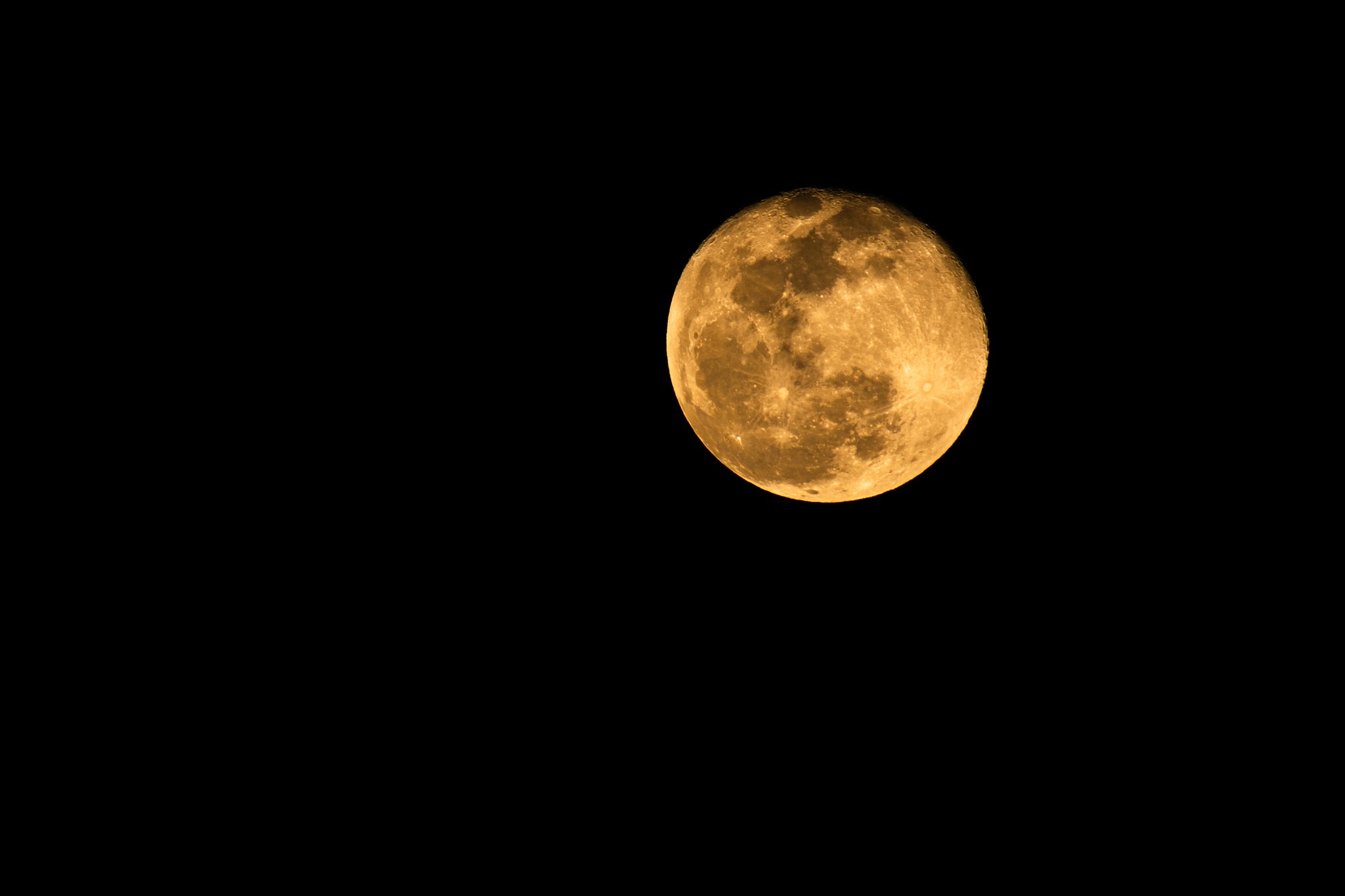 EF100-400mm f/4.5-5.6L IS USM + EXTENDER 2x Ⅱ