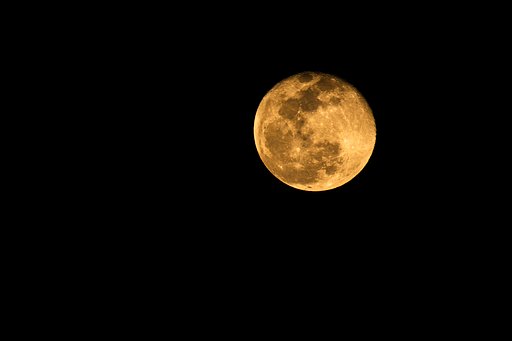EF100-400mm f/4.5-5.6L IS USM + EXTENDER 2x Ⅱ