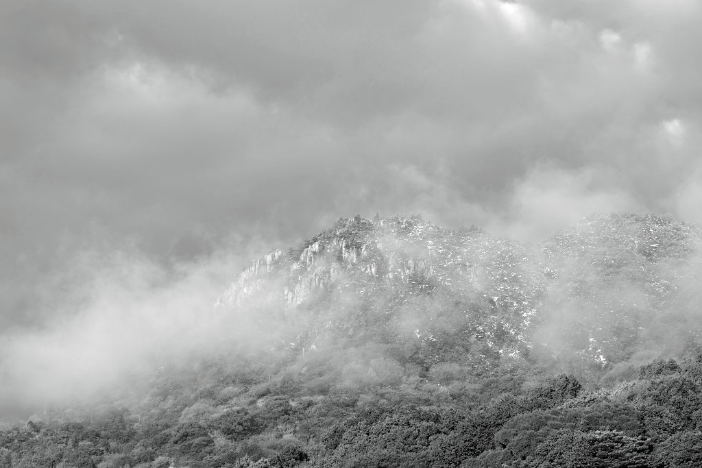 山