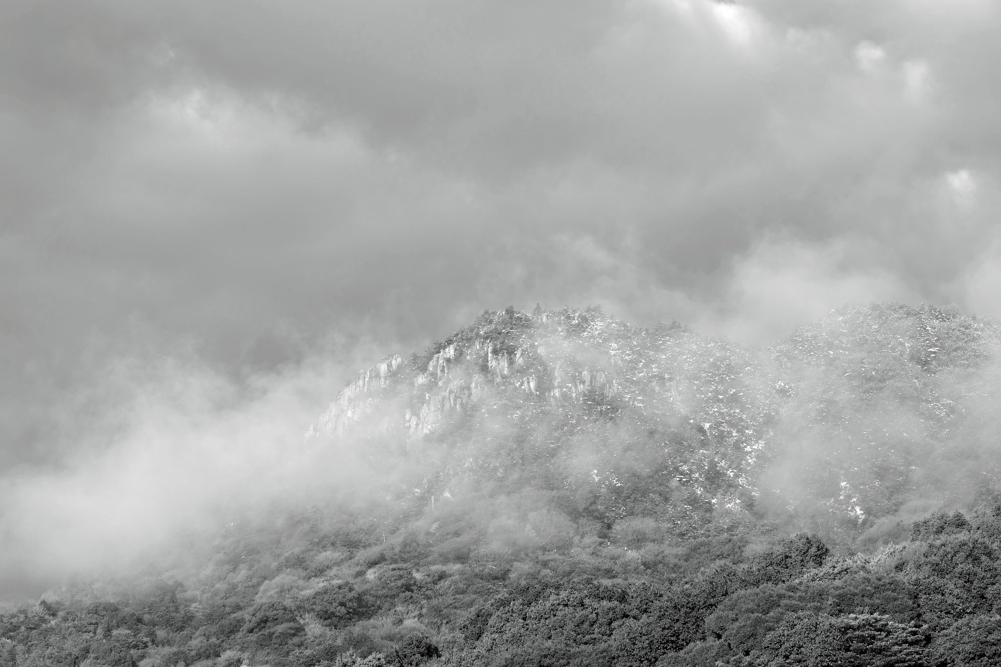山