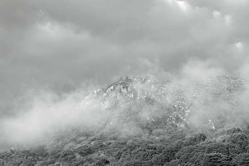 山