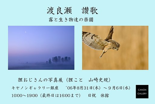 個展開催します。