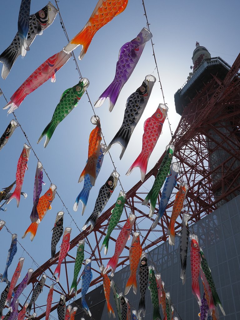高みを目指して