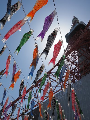 高みを目指して