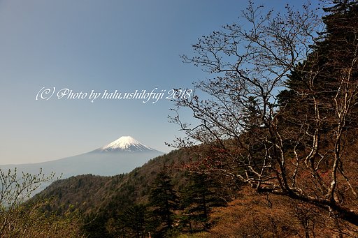 やっと登った～！！