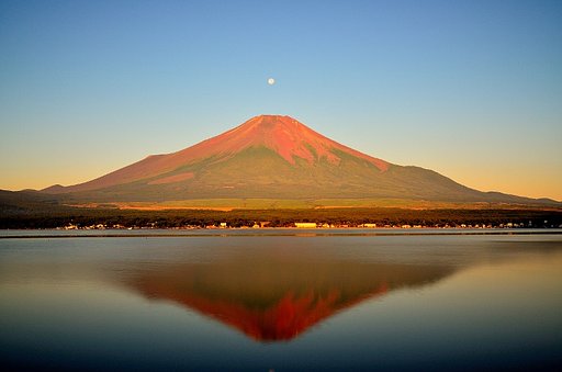 ちっちゃなパールと赤富士