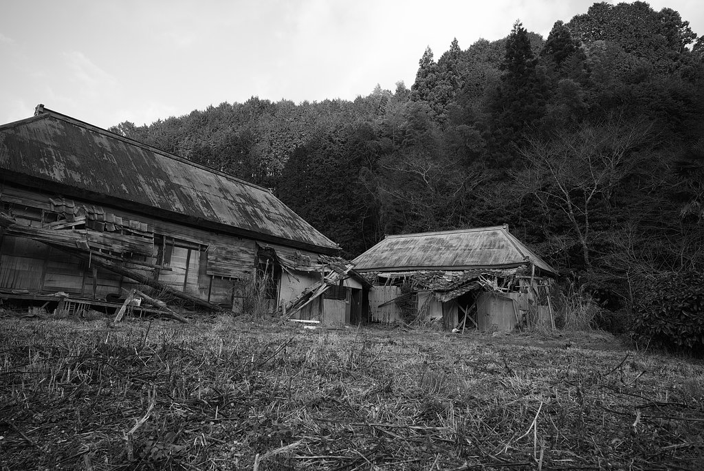 広角カメラ