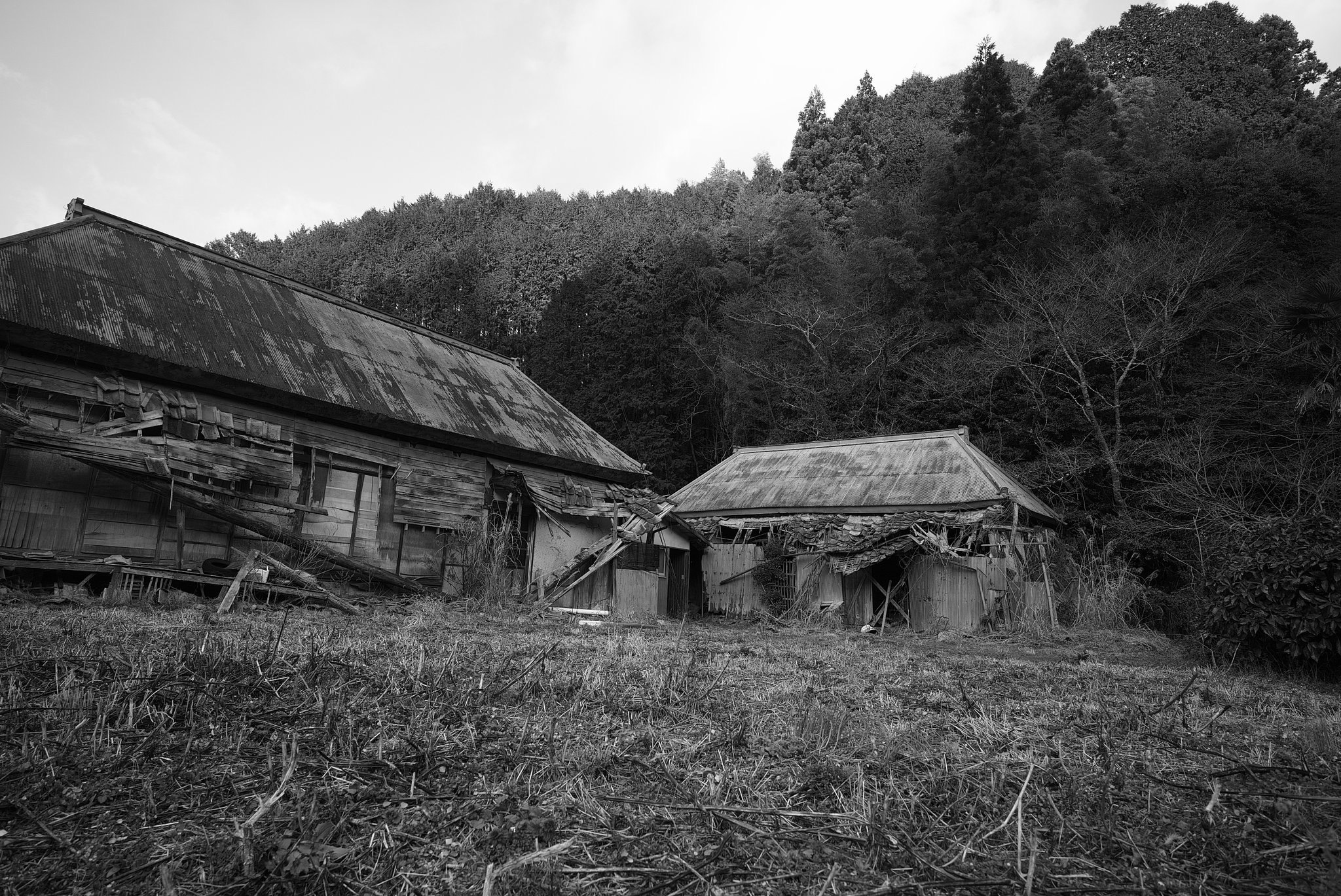 広角カメラ