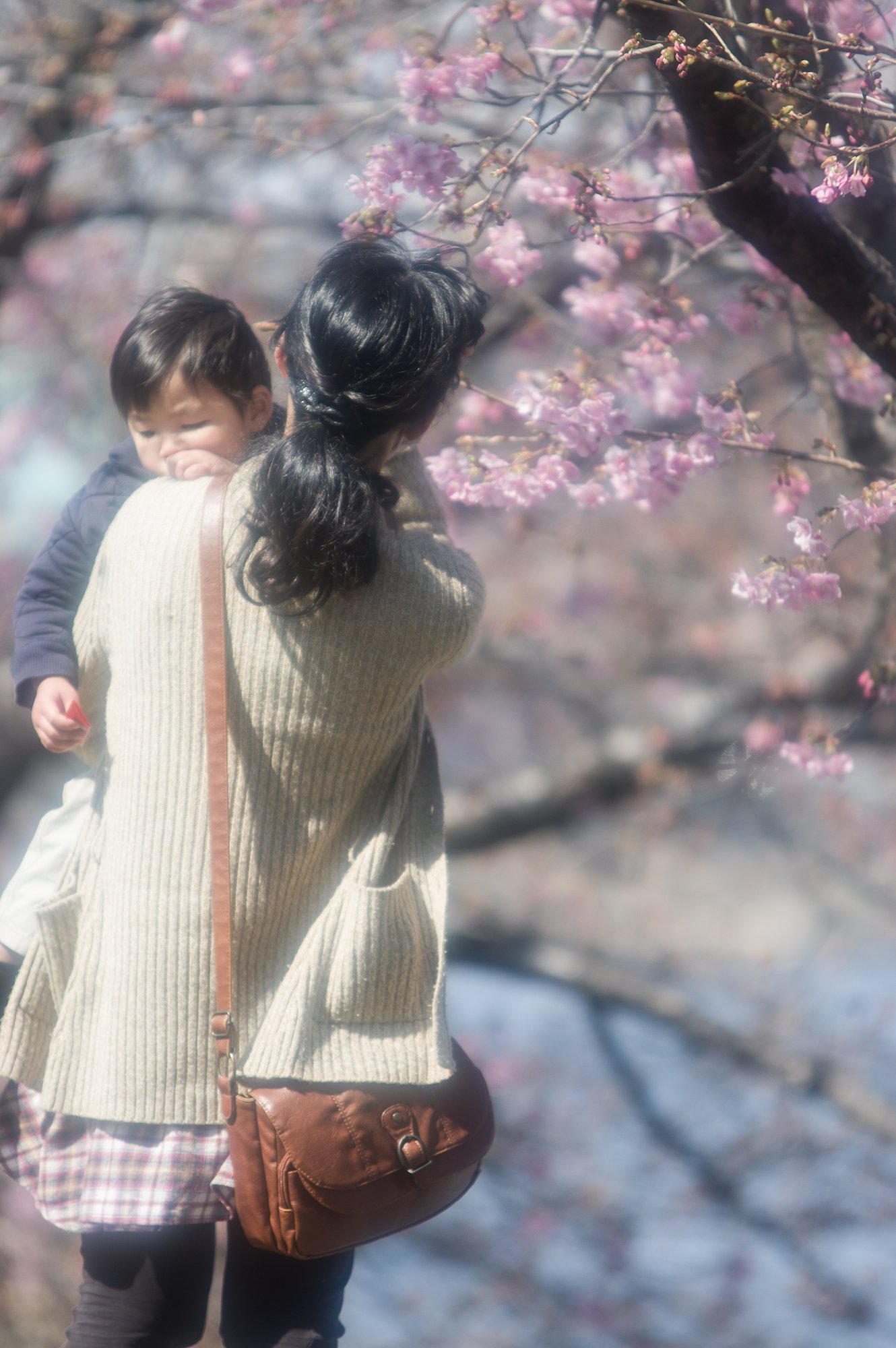 春よりも・・・・