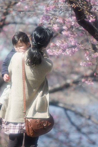 2月26日の写真
