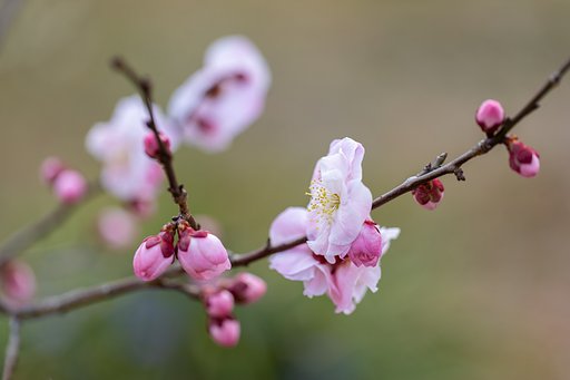 EF100mm f/2.8L Macro IS USM