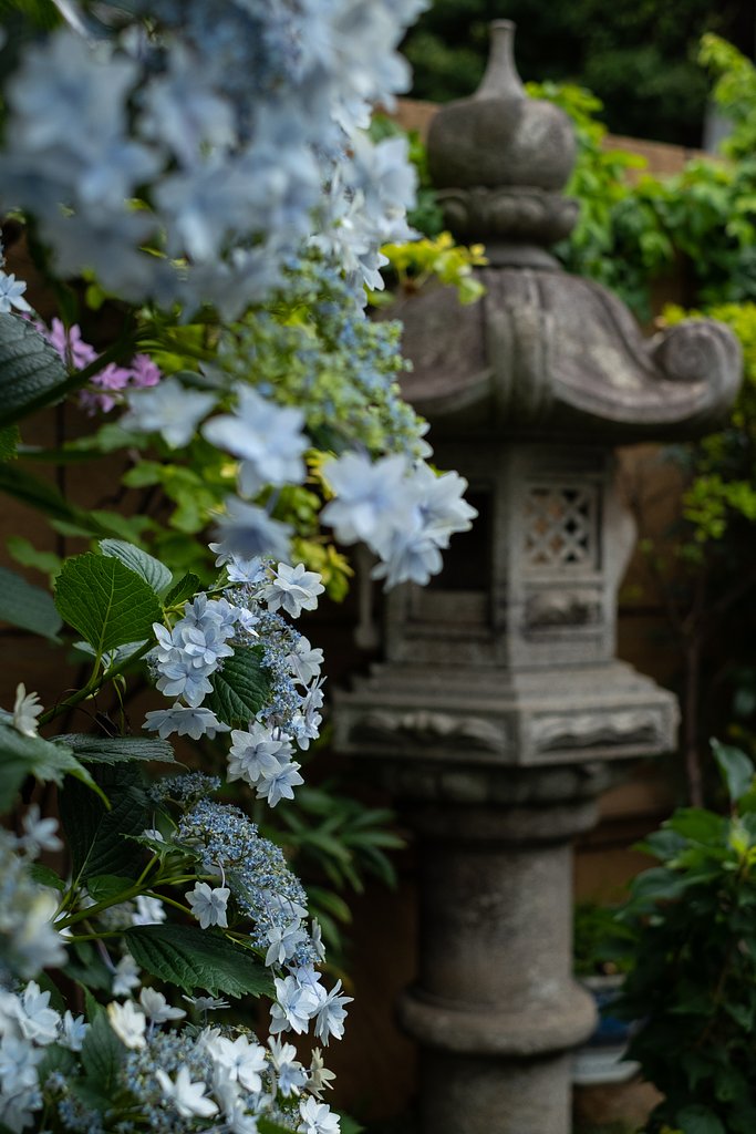 XF35mm F1.4 R