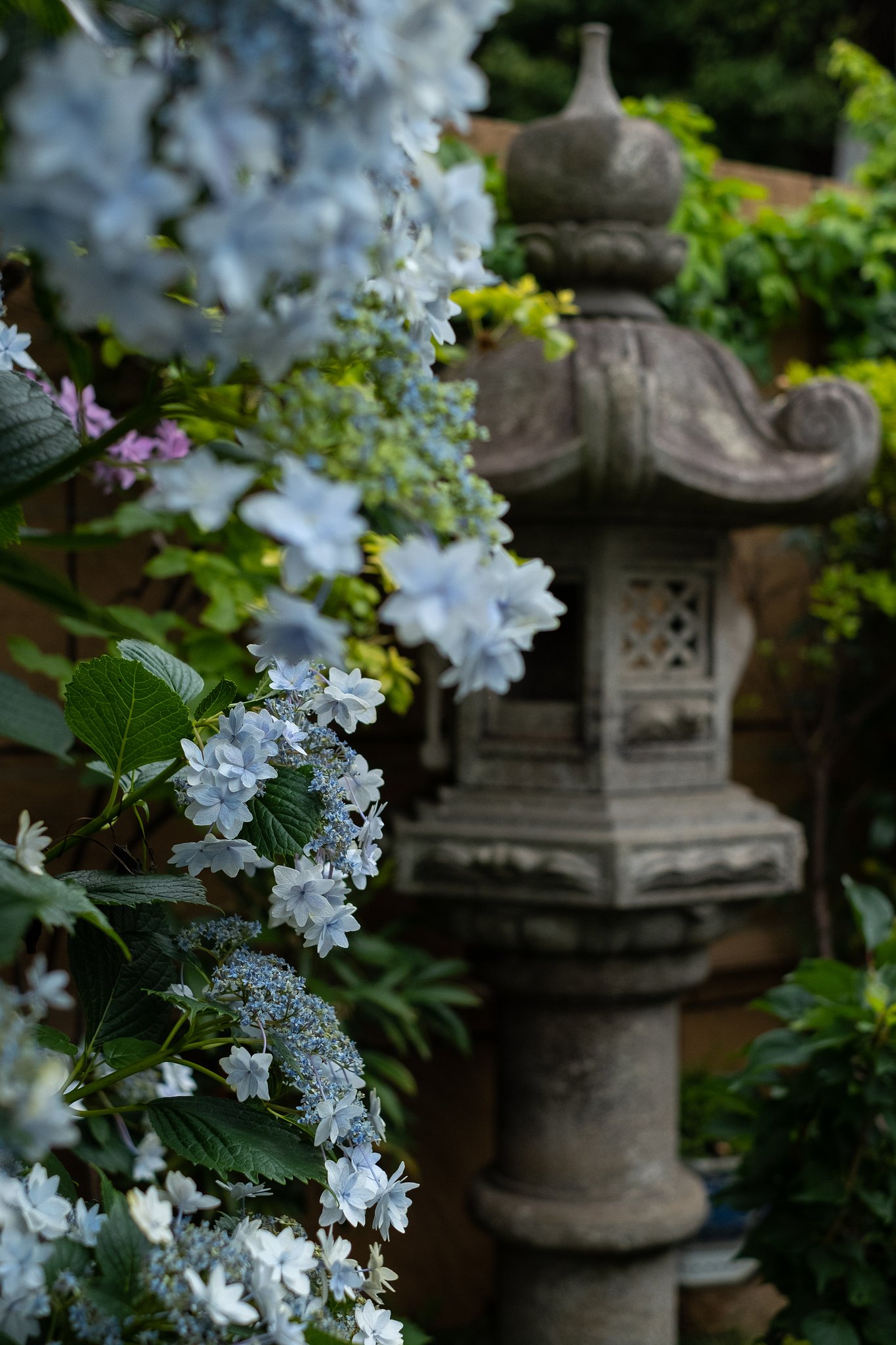 XF35mm F1.4 R