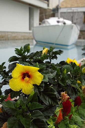 ただいまぁ！