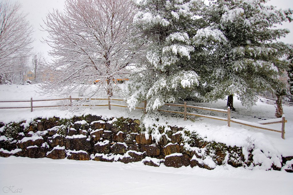 ああああ、また雪が．．．orz