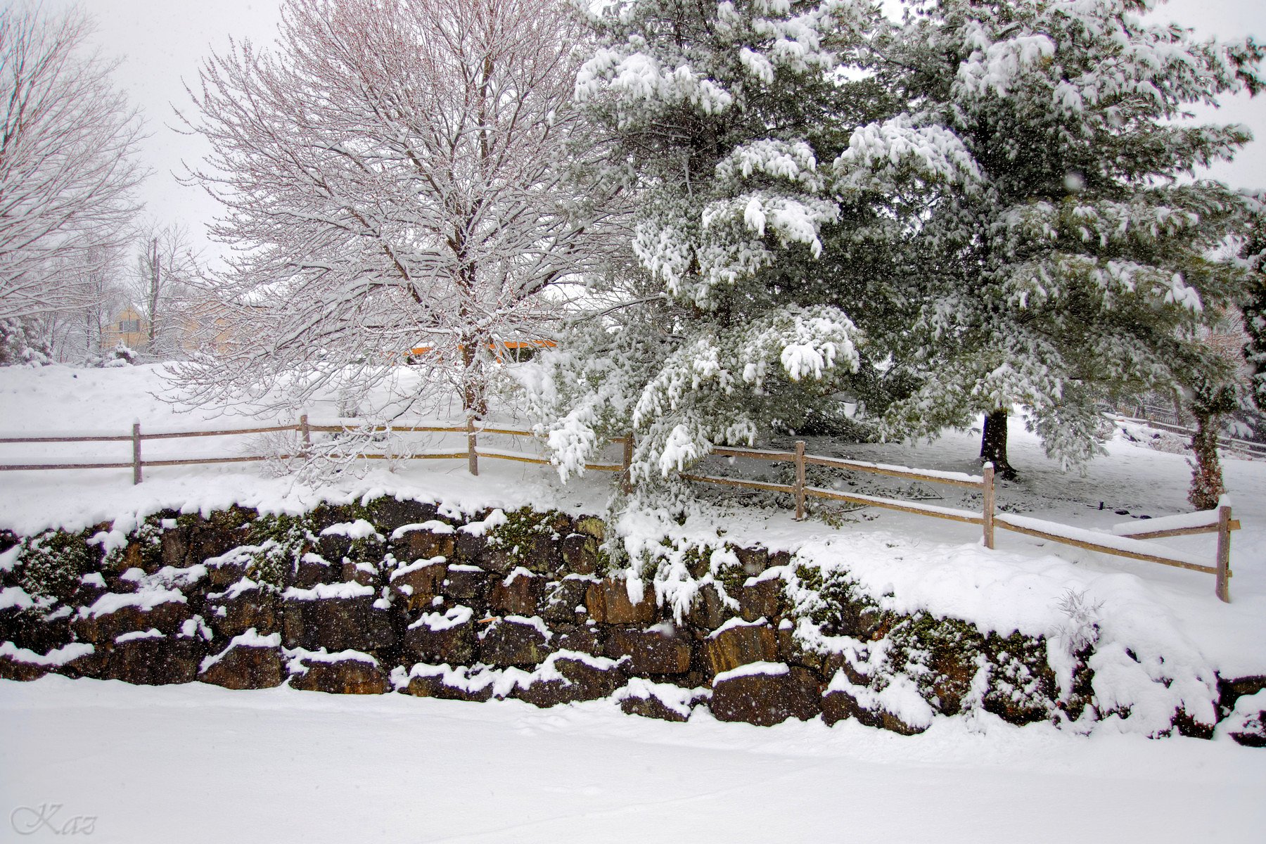 ああああ、また雪が．．．orz