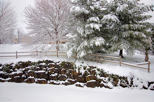 ああああ、また雪が．．．orz