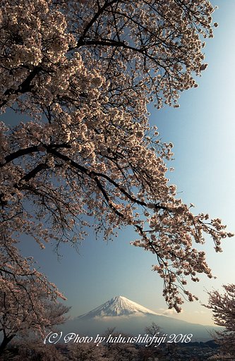 朝日を浴びて