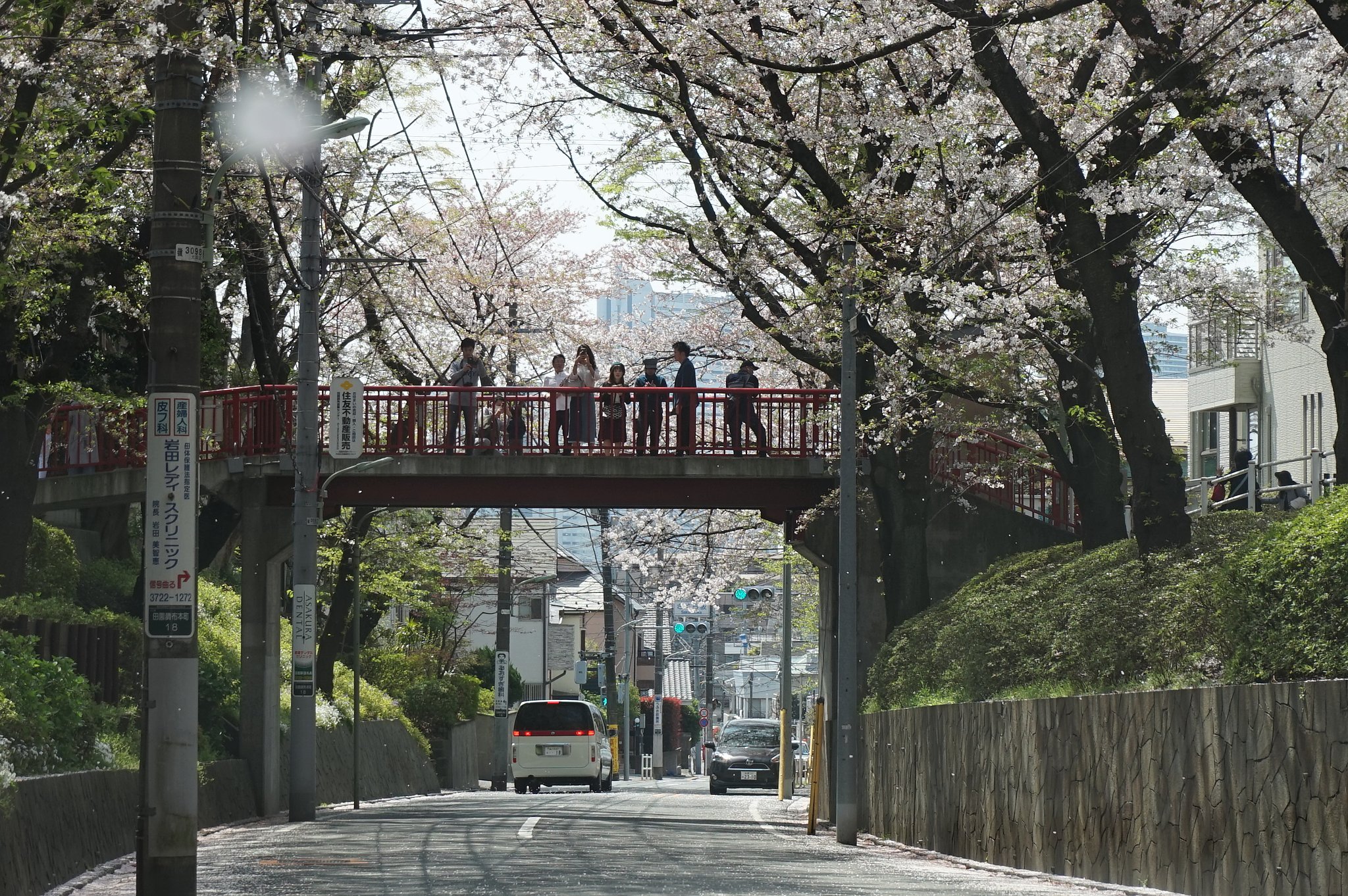 「桜坂」