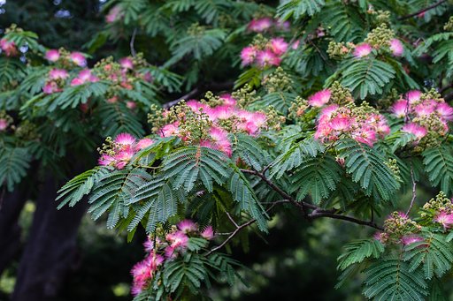 EF100mm F2.8 L IS MACRO
