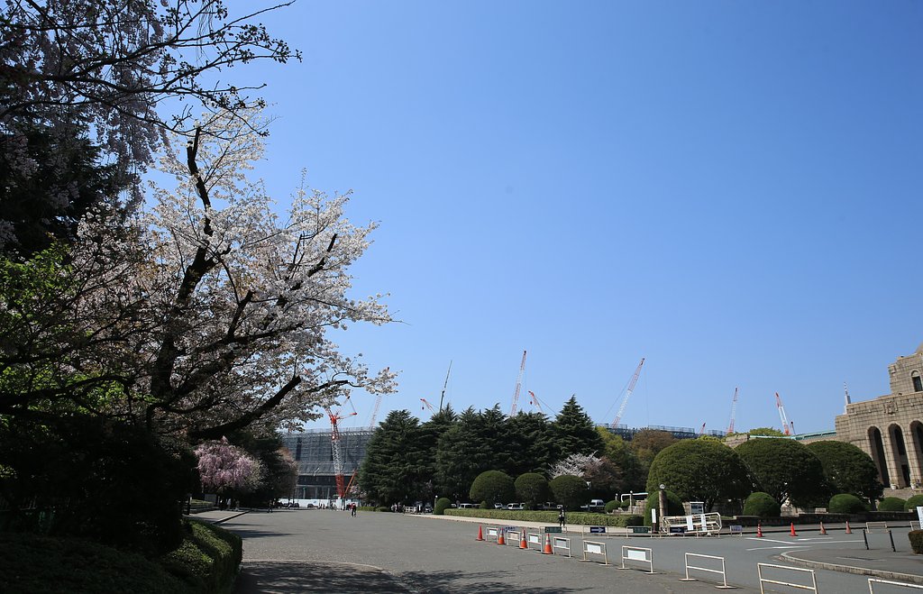 【桜花】建設進む新国立競技場