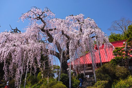 大聖寺