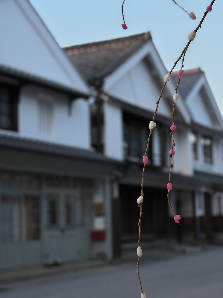 花餅2