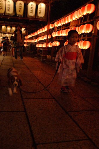 【淡】ちょうちん祭りへ