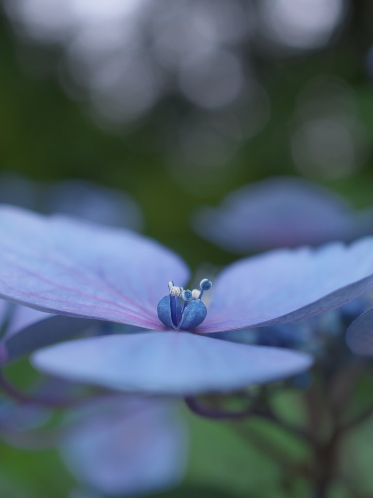 ED 30mm F3.5 Macro