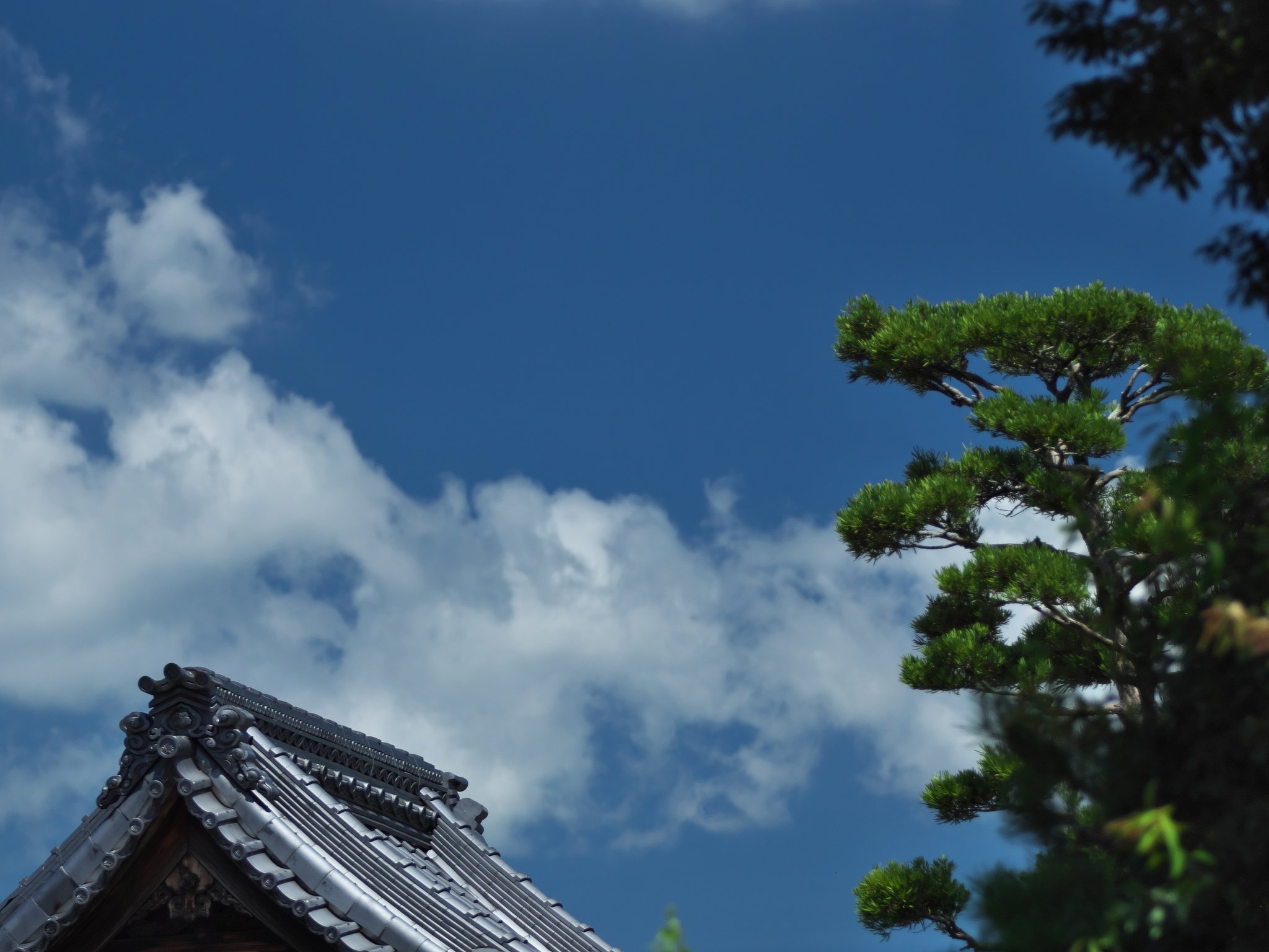 寺院