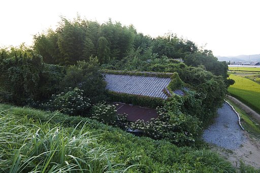 溜池遊記