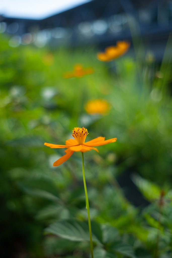 FUJINON XF23mm F2 R WR