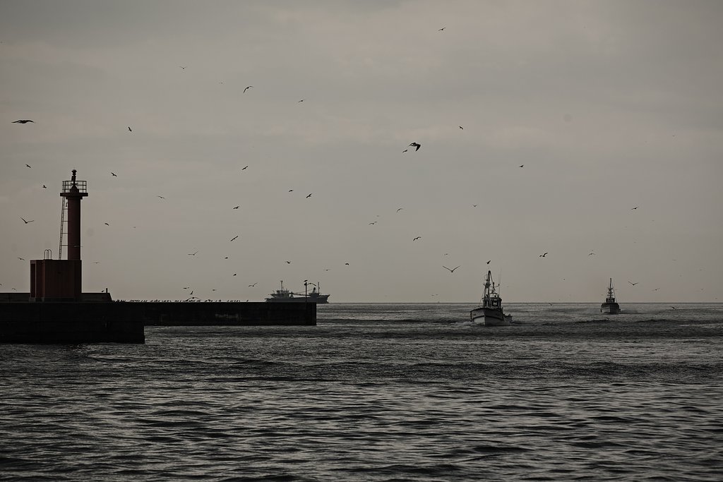 CONTAX　Sonnar T＊２１０mmF４