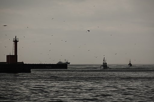 CONTAX　Sonnar T＊２１０mmF４