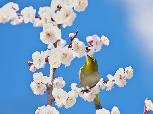 EF300mm F2.8L IS 