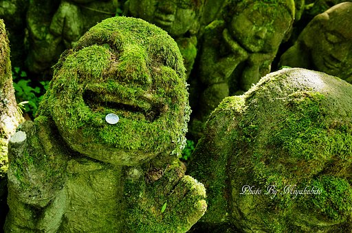 癒されます。